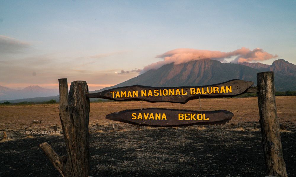Taman Nasional Baluran
